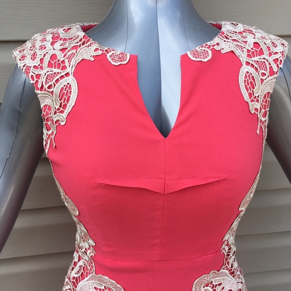 Stunning Bodycon Dress in Pink and Tan Lace - Picture 2 of 7